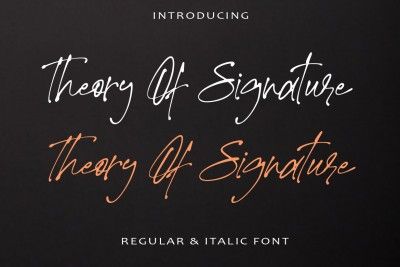 Theory of Signature